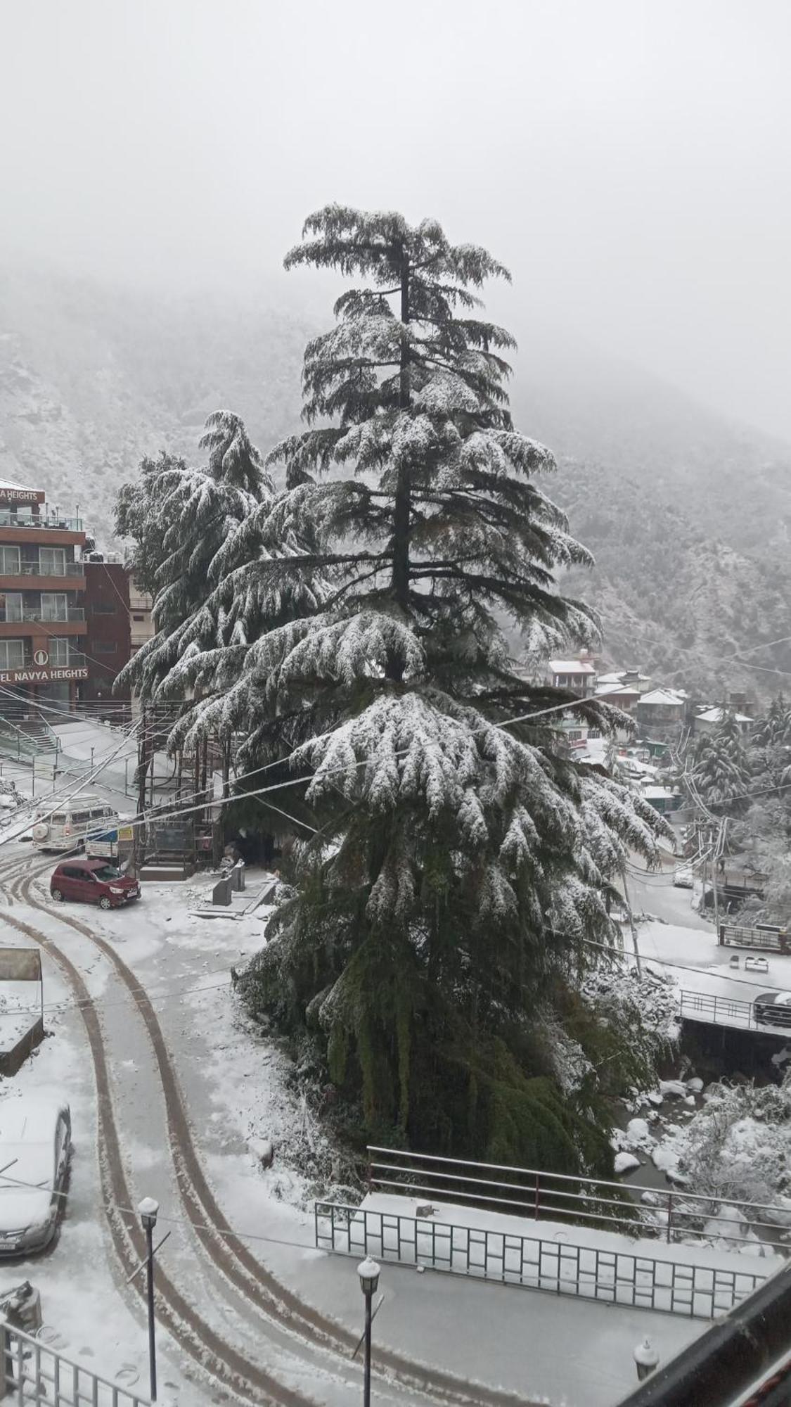 Moonlight Ridge Apartment McLeod Ganj Exterior photo